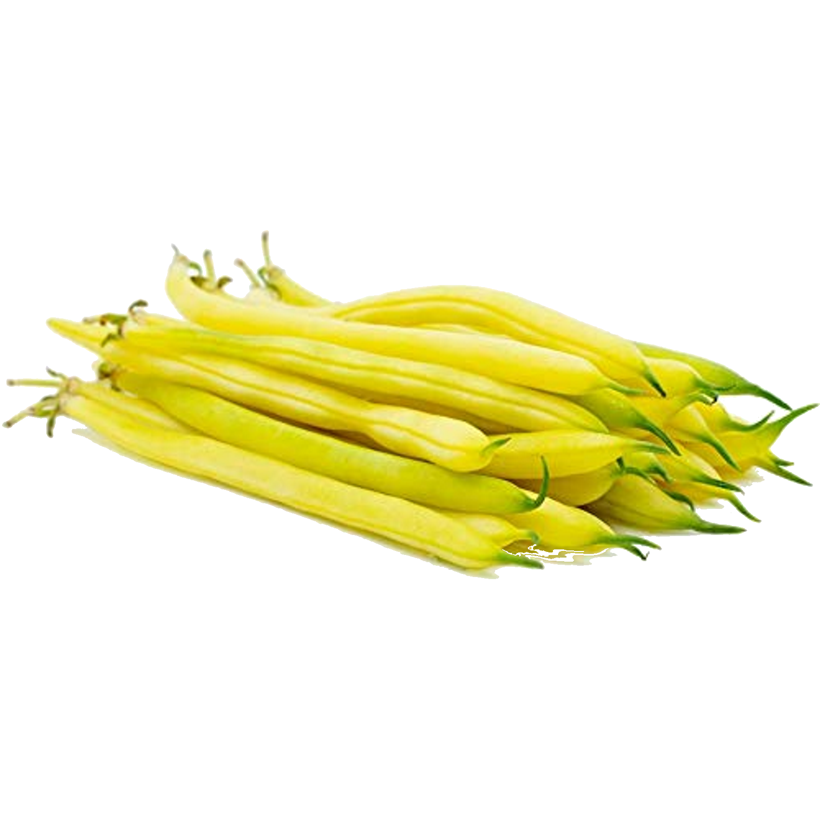 Butter Beans (Cherokee Wax Bean) X 10 Vegetable seeds Organic Heirloom